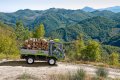 Grillo PK800 4WD