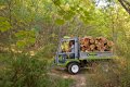 Grillo PK800 4WD